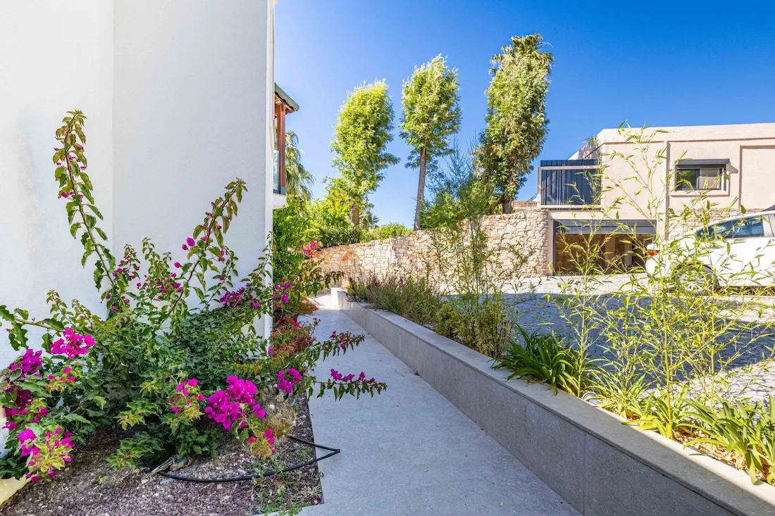 Garden area